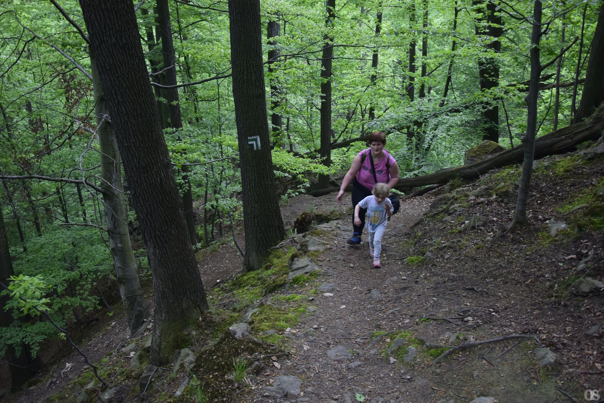 Sciezka Hochbergow 47.jpg